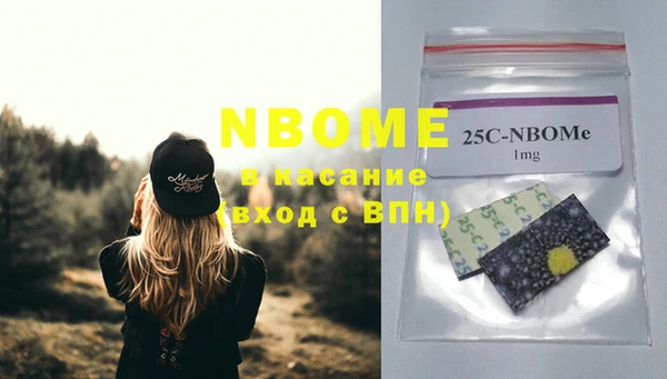 ПСИЛОЦИБИНОВЫЕ ГРИБЫ Абаза