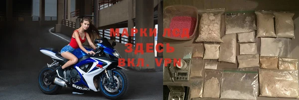 хмурый Алексин