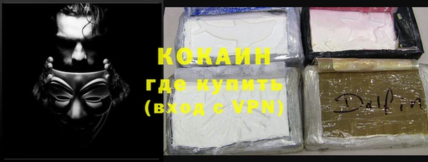 хмурый Алексин
