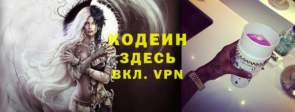 хмурый Алексин
